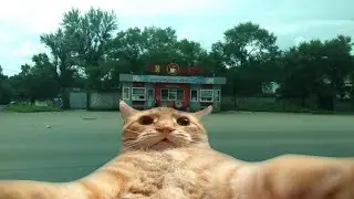 В Уссурийске Вкусная Шаурма?