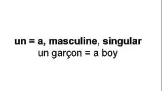 French Indefinite Articles