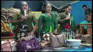 KARAWITAN,LIVE DESA MULYOREJO,SINDEN MUDA.