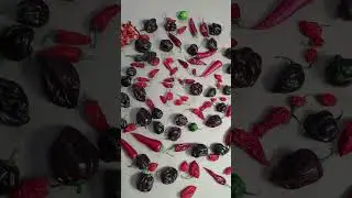 Какие сорта здесь увидели? #spicy #острыйперец #habanero #carolinareaper #chocolatehabanero #peppers