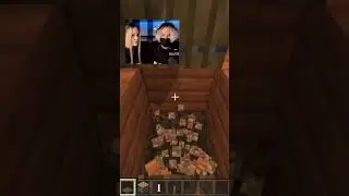 A prank on a villager in Minecraft  