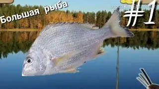 Большая рыба в Моя рыбалка HD #1