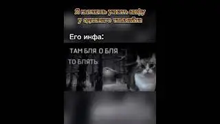 Топ инфа в кс2 #shorts #gameshorts #cs2clips #tiktok #game #games #игра #игры #gameplay #gamer