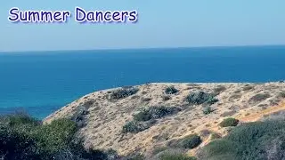 Summer Dancers - Dance music - Panda Dog Music