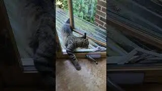 Junior Enters House From Deck Roof