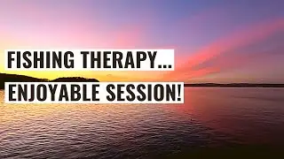 Brixham Breakwater Sea Fishing: A Fishy Session!!