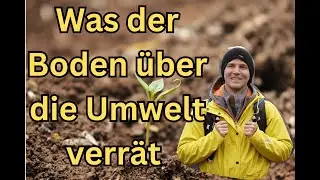 Geheimnisse des Bodens: Was der Boden über die Umwelt verrät