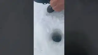 щука на жерлицы в феврале.
