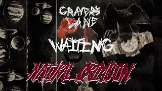 Graver's Lane - Waiting (Lyric Visualizer)