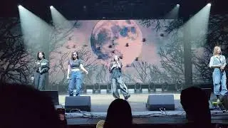 Dreamcatcher (드림캐쳐) - The curse of the Spider | 241113 | Seattle - Luck Inside 7 Doors [4k60 FANCAM]