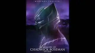 Image Breakdown - In Memory of Chadwick Boseman (1977-2020)