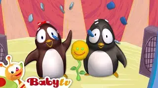 Pim & Pimba | Цветок | BabyTV Pусский