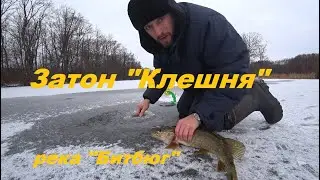 Затон 