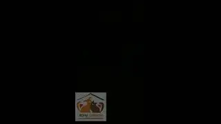 У нас заболел Барон. Нужна срочная операция