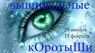 Вышивальные коротыши. 29 января - 11 февраля