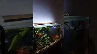 ЧИСТО ПЕРЕКУСИТЬ 😜😜😜