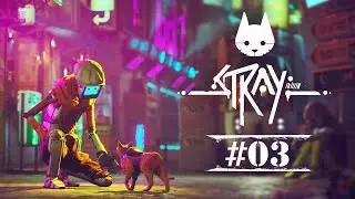 The Cat Help Somebody - Stray | Avon Sparsh | Cat Game