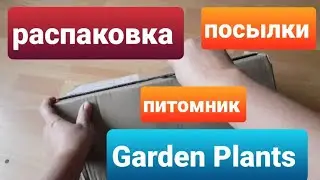 Распаковка посылки с растениями  из питомника Garden Plants