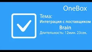 Интеграция с поставщиком Brain
