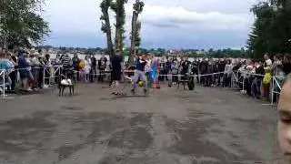 Конкурс, Парк Бондина Нижний Тагил