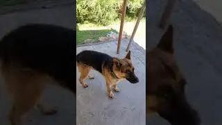 прогулка с РЭКСом часть 3