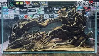 🔴 [LIVE] Herry Rasio Live Setting @ONE Champion Aquascape Contest