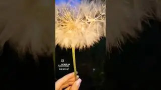 Романтика, красота, любовь!🥰