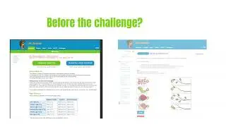 What is the Bebras Challenge