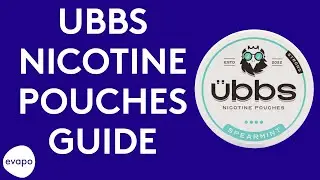 UBBS nicotine pouches guide