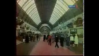 Цвет жизни.