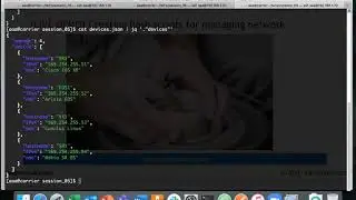 Working with JSON data structures using Bash in Linux