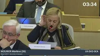 Marlène MOURIER - Expérimentation de la vidéosurveillance intelligente