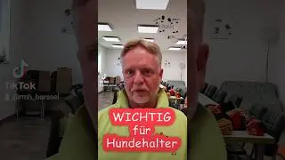 Hundebegegnung #hundebegegnung #hundeliebe #rückruftraining #ammerland #cloppenburg #barßel #pets