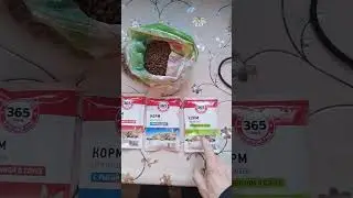 ✔Review of cat food brand 