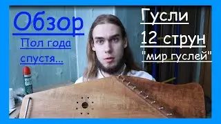 Гусли с волной, 12 струн от 