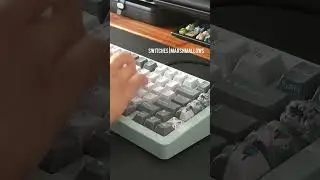 Fastest Typing ASMR 😱🙌 