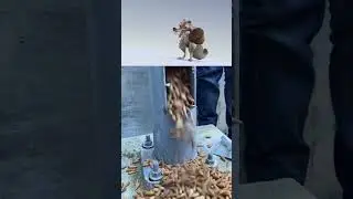 Белка копила эти орехи всю жизнь