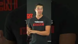 Muscle vs. Tendon: The Optimal Training Strategy
