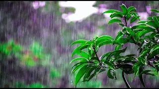 This White Noise Relaxing Sound Help You Relax Your Mind And Help You Fall Asleep
