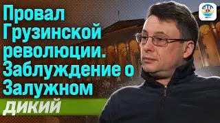 Виталий Дикий. ПРОВАЛ ГРУЗИНСКОЙ РЕВОЛЮЦИИ. ЗАБЛУЖДЕНИЕ О ЗАЛУЖНОМ 