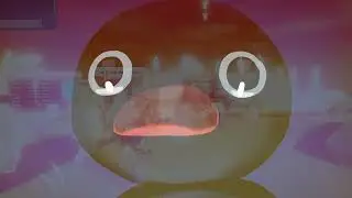 the noot noot....