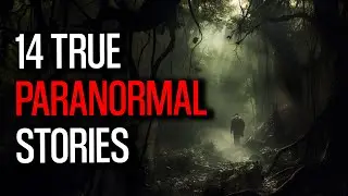 14 Hair Raising Paranormal Tales - A Journey Through the Forest's Unseen Realms