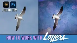 Learn How to Use Layers in Photoshop & Luminar Neo - LIVE Photo Editing