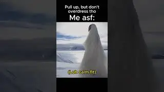 2027 Bird Luh Calm Fit Erosion Bird Meme
