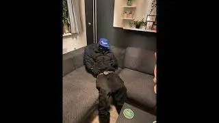 (FREE) Yeat x Kankan x Ken Carson Type Beat 