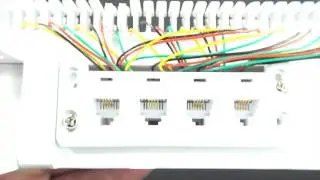 Pre-Wired 66 Block with 12 RJ11 Jacks | Wiring Block