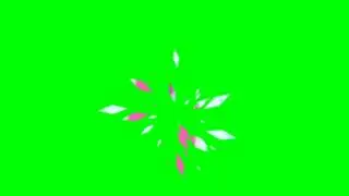 Flowers Falling Animation Green Screen Free Effect 3