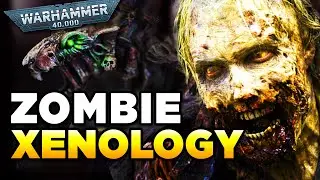 40K - ZOMBIE FORMS -XENOLOGY | Warhammer 40,000 Lore History