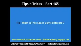 Tips n Tricks Part 165 What is Free Space Control Record ?