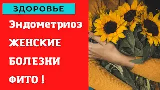 Эндометриоз , женские болезни не приговор ! Фитотерапия .